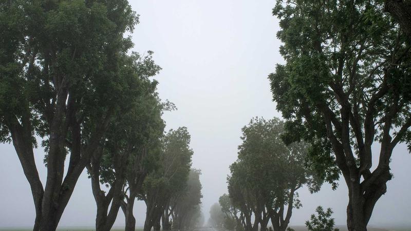 每日大赛吃瓜案例：热点追踪实战